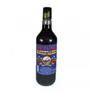 GENGIBRE NETUNO 960ML
