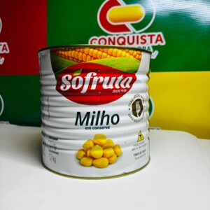 MILHO VERDE SO FRUTA 1,7KG